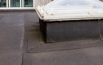 disadvantages of The Rock flat roofs